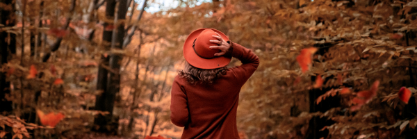 Celebrate Fall Locally: Dorchester Park & Blue Hills Offer the Perfect Autumn Escape 🍂