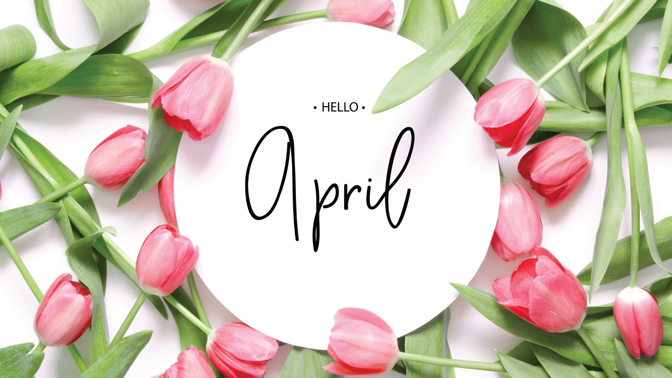 Celebrate Spring: April Happenings Across Dorchester and Milton